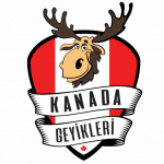 Kanada Geyikleri